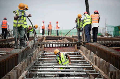 直达长江新区 这条高速又有新进展