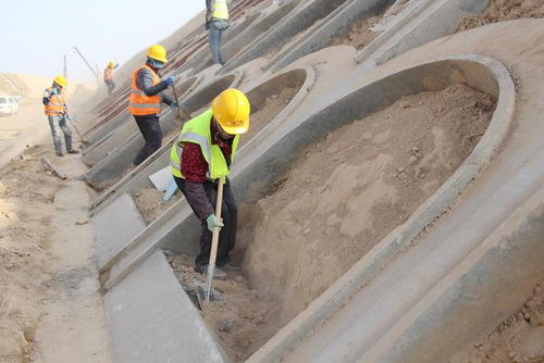 宁夏在建高速公路项目按下 增绿键